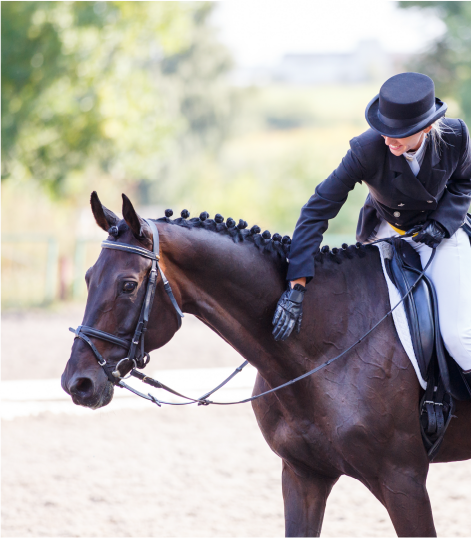 Fichier 7100